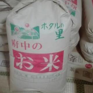 令和元年度産　美味しいコシヒカリ30キロ玄米