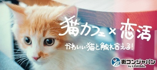 00 22 00 猫カフェ恋活パーティー 猫カフェmocha 街コンジャパン 名古屋のパーティーのイベント参加者募集 無料掲載の掲示板 ジモティー