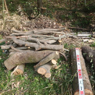 薪（割り木）・薪割台にする原木あげます