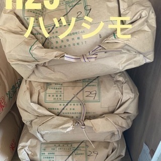 29年度ハツシモ玄米30kg