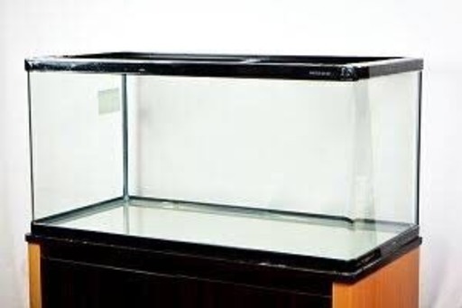 GEX900曲げ水槽、木目台、ツインライト、ろ材