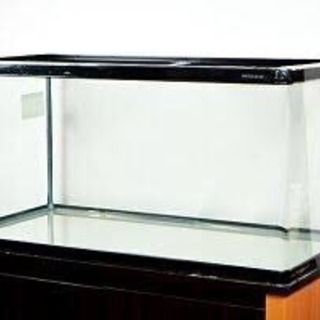 GEX900曲げ水槽、木目台、ツインライト、ろ材 ieee.org.eg