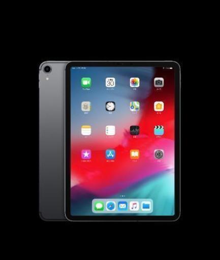 ipad pro 11インチ WiFi スペースグレー 256g　未開封