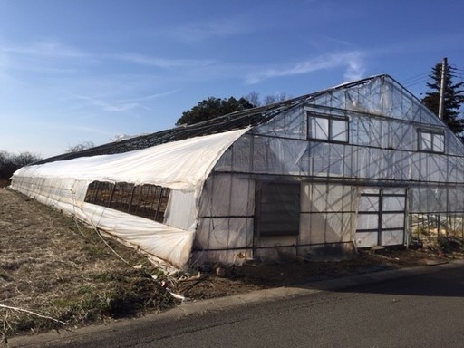 【値下げしました】中古ビニールハウス売ります