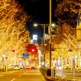 12月21日(金) シーズン限定！クリスマス直前特別企画♡都内イ...