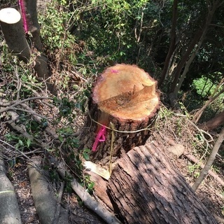 木こり、造園業、森林整備(男性、女性、素人さんでも大丈夫です！)あと3名募集 - 建築