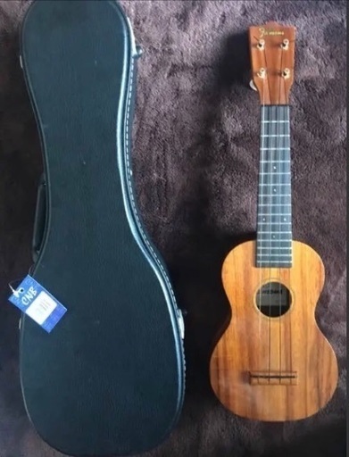 弦楽器、ギター Famous FS-5