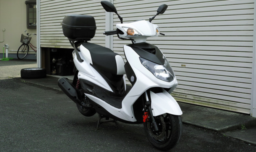 【引取限定】シグナスX 台湾２型（SE465）