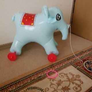 ゾウ🐘のころころ