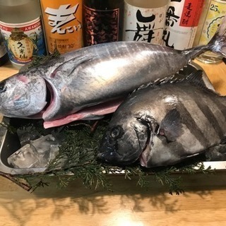 佐渡島のお魚  第9弾！