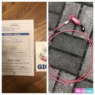 GIOS MISTRAL ミストラル