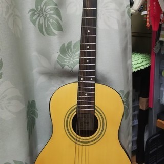 S.yairi YEM-22 コンパクトエレアコギター（ソフトケ...