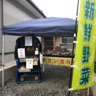 野菜販売100市場*\(^o^)/*