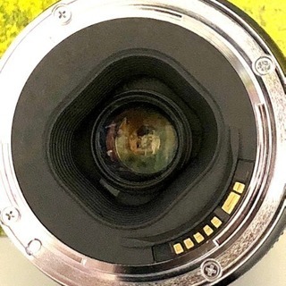 ✨ど迫力300mm！超望遠の世界へ！⭐️Canon 100-300mm USM✨