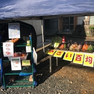 野菜販売100円市♪ ヽ(･ˇ∀ˇ･ゞ)