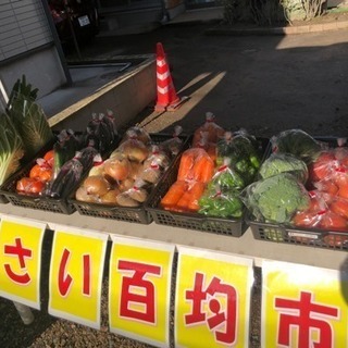 野菜販売100円市♪ ヽ(･ˇ∀ˇ･ゞ) - 鹿児島市