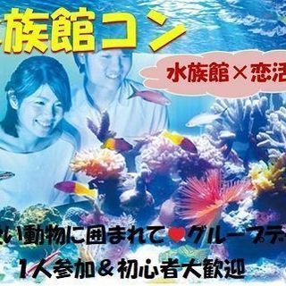 水族館コン♡12月22日（土）♪15時スタート【30～39歳】♡...