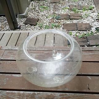 水鉢 金魚鉢
