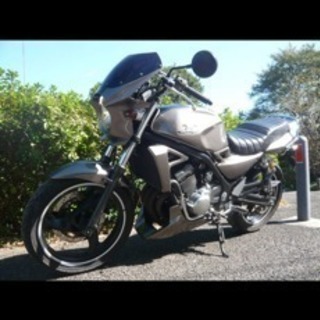 値下げしました。バリオス1型 バリオス1型チョビ三段、値下げ