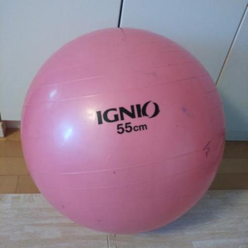 バランスボール Ignio 55 卵さん 海浜幕張のおもちゃの中古あげます 譲ります ジモティーで不用品の処分 バランスボール Ignio 55 卵さん 海浜幕張のおもちゃの中古あげます 譲ります ジモティーで不用品の処分