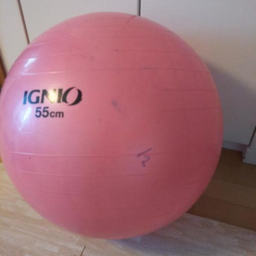 バランスボール Ignio 55 卵さん 海浜幕張のおもちゃの中古あげます 譲ります ジモティーで不用品の処分 バランスボール Ignio 55 卵さん 海浜幕張のおもちゃの中古あげます 譲ります ジモティーで不用品の処分