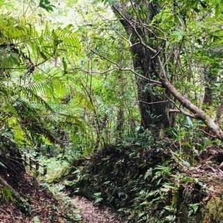 一緒に山に登りましょう！ - メンバー募集