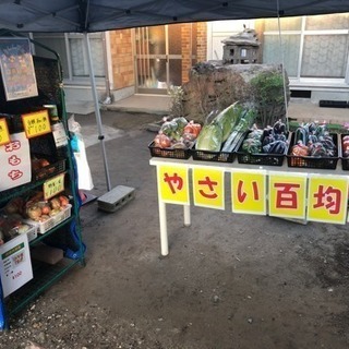 新鮮野菜100円市場(^з^)-☆