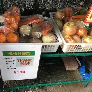 新鮮野菜100円市場(^з^)-☆ − 鹿児島県