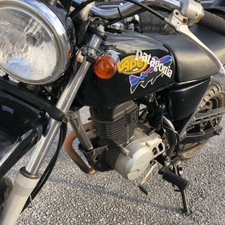 ape50