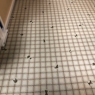 ペットサークル 木製 大型犬用 美品！