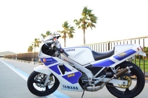 TZR250 2xt 美車 ワンオフチャンバー付き