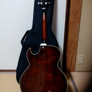 Ibanez アコースティックギター AK85-DVS