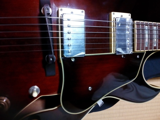 Ibanez アコースティックギター AK85-DVS
