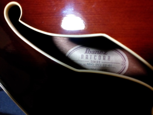 Ibanez アコースティックギター AK85-DVS