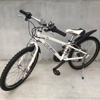 ルイガノ LGS-J22 子供用 自転車 22インチ | clinicaversalles.com.pe