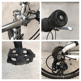 ルイガノ LGS-J22 子供用 自転車 22インチ