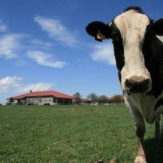 ◆北海道を始めとした、全国の牧場で飼育スタッフ募集中！ご興味あり...