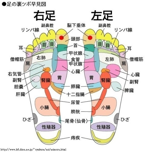 女性限定 心と身体のケア セルフケアも伝授します 砂時計 西出水のボディケアの無料広告 無料掲載の掲示板 ジモティー