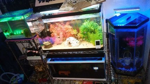 水槽4つセット