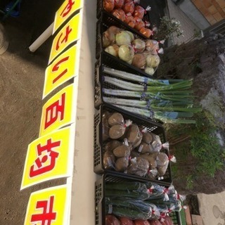 新鮮野菜100市場🍀(* ॑ω ॑*  )の画像