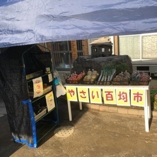 新鮮野菜100市場🍀(* ॑ω ॑*  ) - 鹿児島市