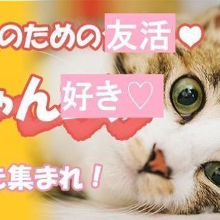 【友活】12月25（火）15時♡♡猫好き♡集合！好きが一緒だと話...