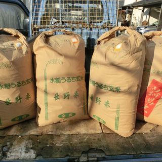 平成10年産 水稲うるち玄米 30kg×4袋 120kg 飼料・...