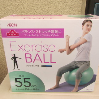 Exercise Ball エクササイズボール ・マット付き