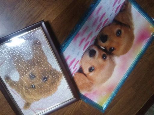 値下げ 犬好きさん キッズ 犬 パズル 本 可愛い 子犬 子供 本 のん 山ノ内のキッズ用品 その他 の中古あげます 譲ります ジモティーで不用品の処分 値下げ 犬好きさん キッズ 犬 パズル 本 可愛い 子犬 子供 本 のん 山ノ内のキッズ用品 その他 の中古あげます 譲ります ジモティーで不用品の処分