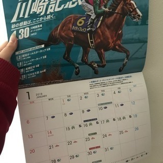 関東地方競馬2019カレンダー