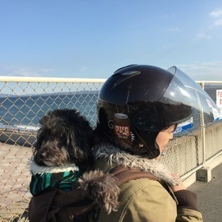 横須賀近辺バイク女子 平日メイン気楽に走れるメンバー募集