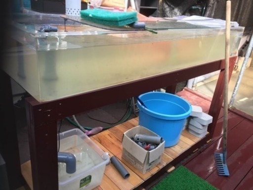 本日限定価格 180水槽