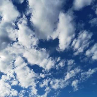 撮り方｜助け合い｜ジモティー