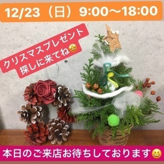 12/23（日）営業中 雑貨屋ピュア